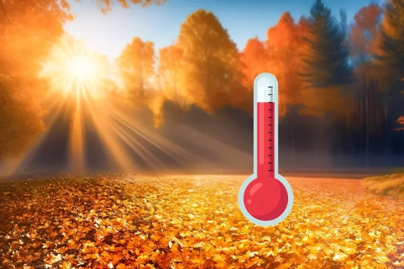 automne douceur