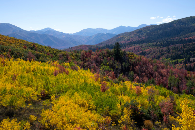 Montagne en automne