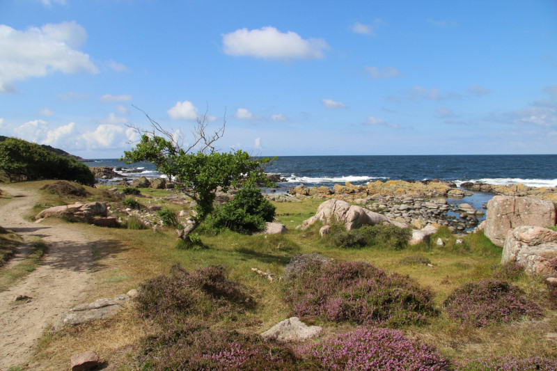 Côtes de Bretagne sous le soleil