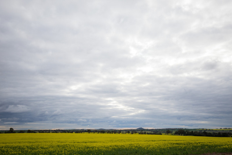 Campagne avec ciel nuageux