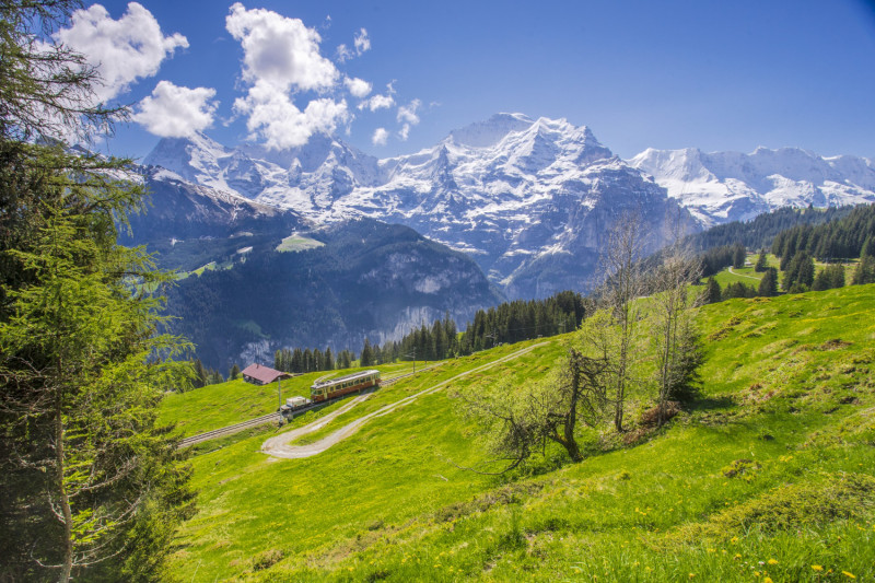 Suisse