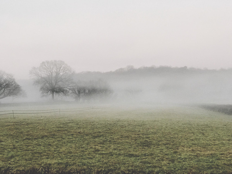 Campagne sous le brouillard