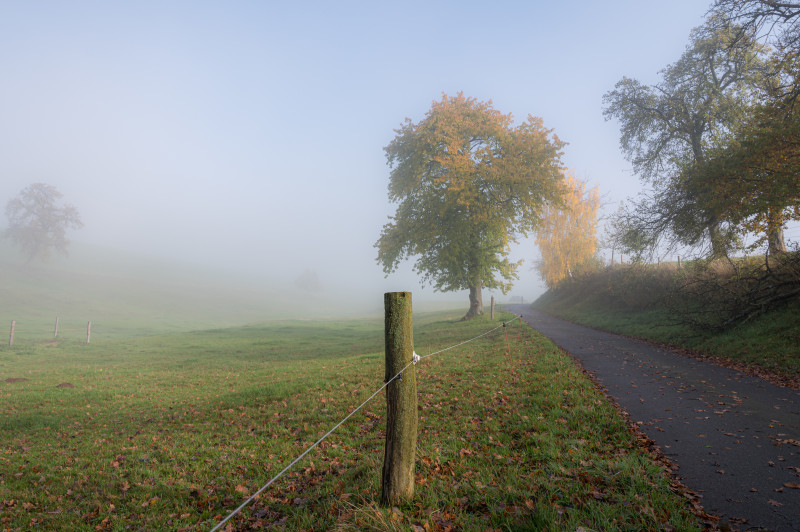 Brouillard campagne