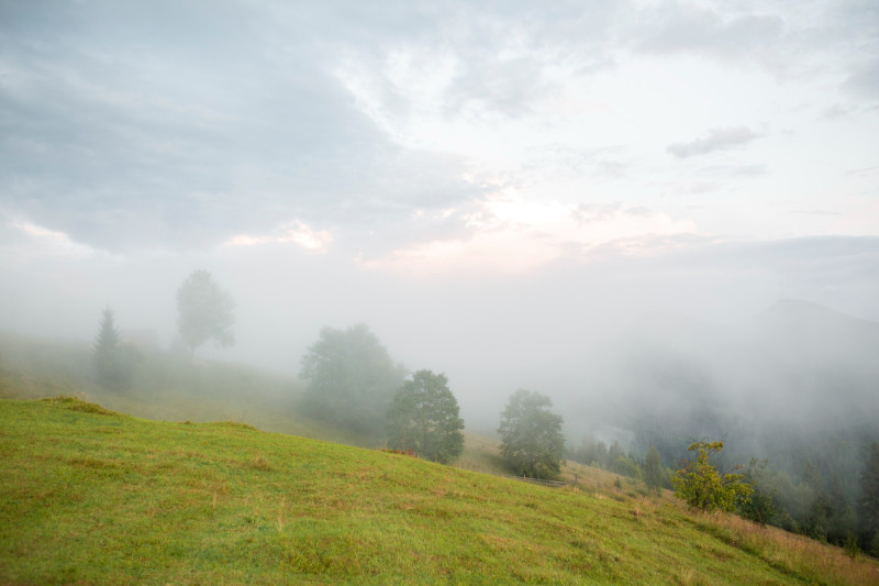 Campagne et brouillard