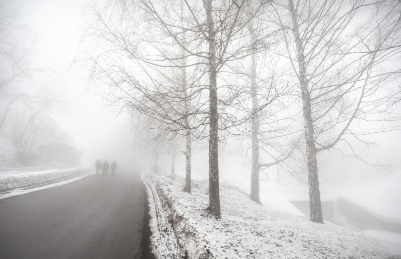 Neige 