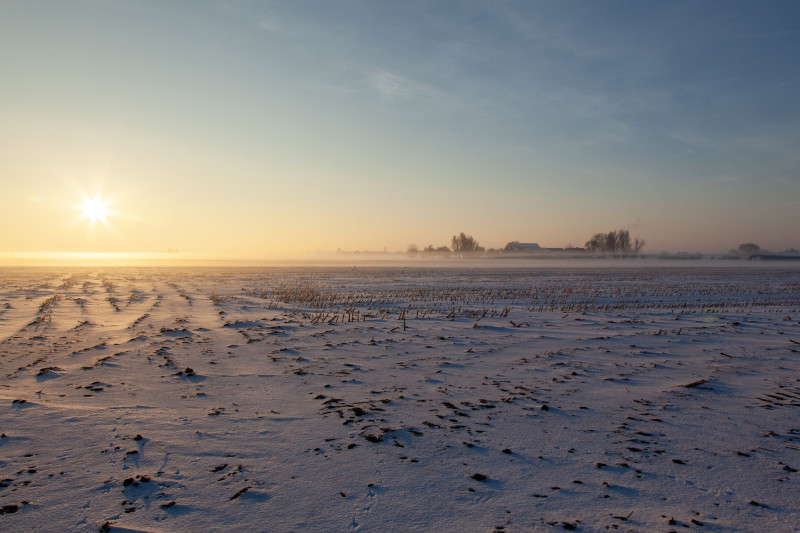 Neige dans le désert