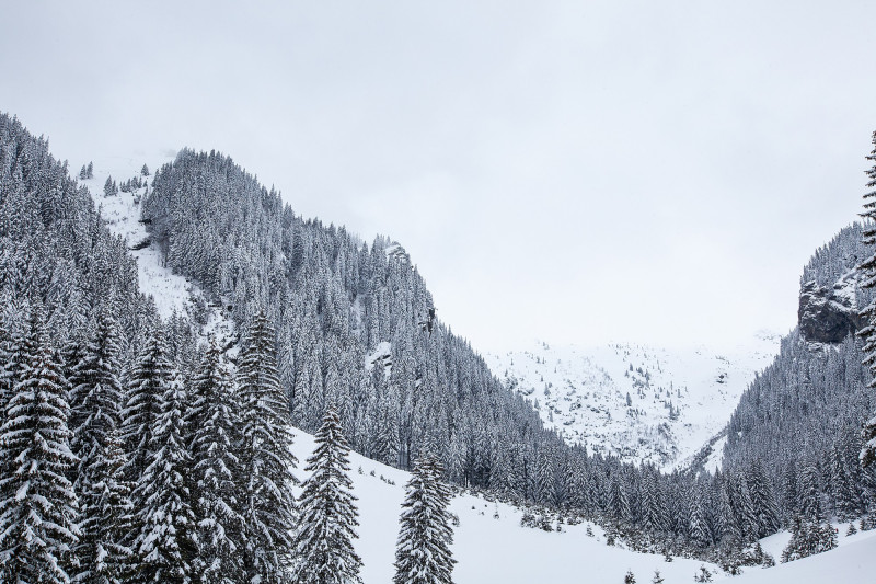Montagne enneigée
