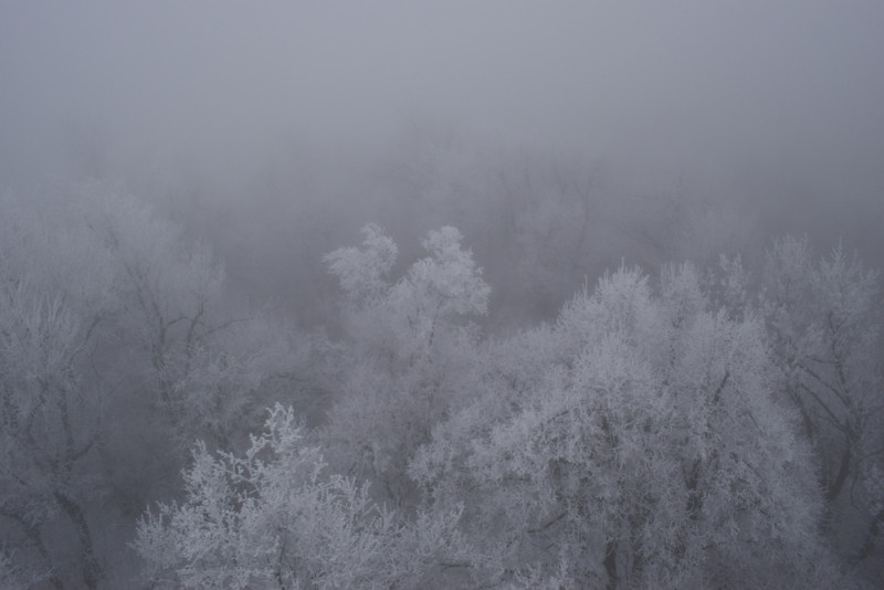 Vue d'un paysage hivernal