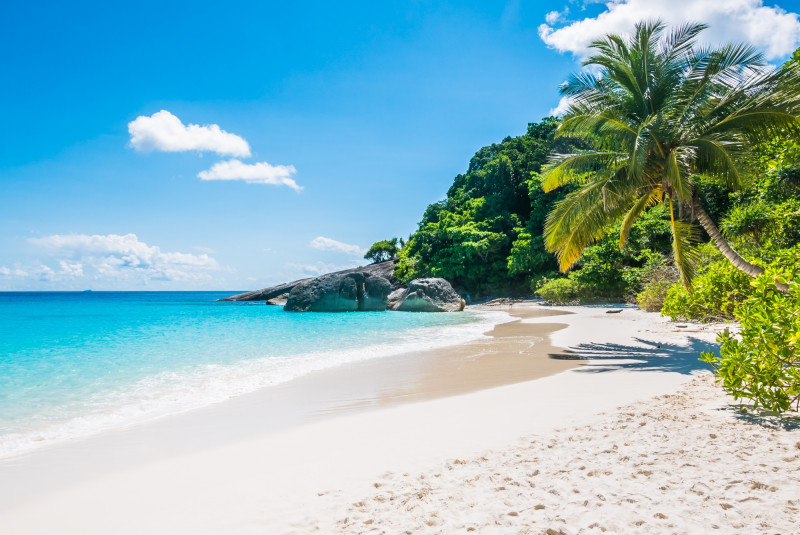 Plage paradisiaque