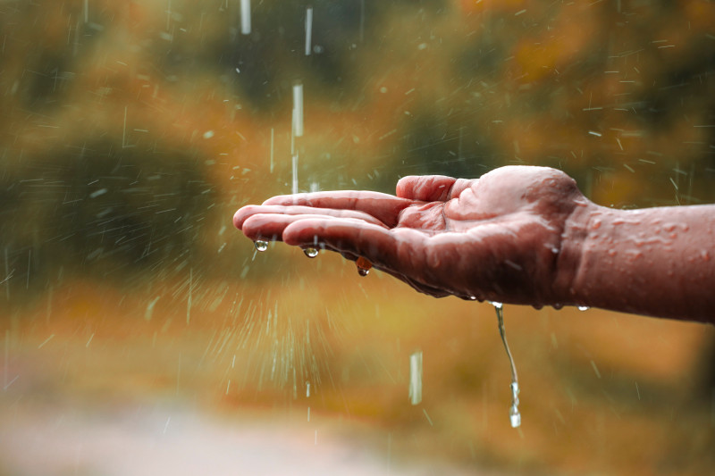 De la pluie tombe sur une main