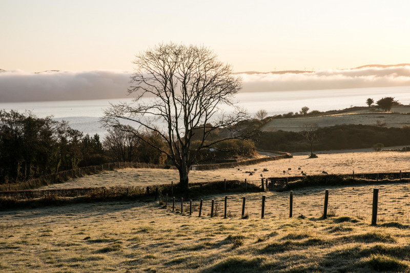 Campagne en hiver