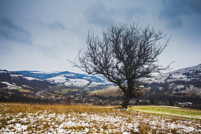 Campagne en hiver