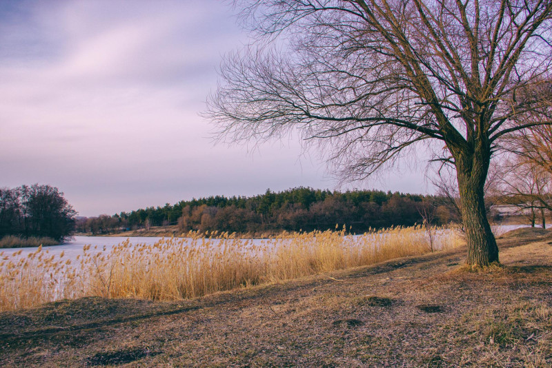 campagne en hiver