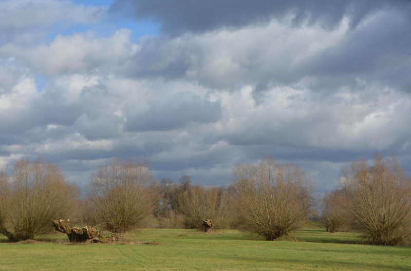 Campagne avec ciel nuageux
