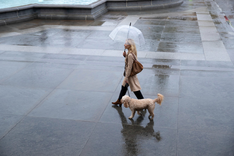 Une femme promène son chien sous la pluie