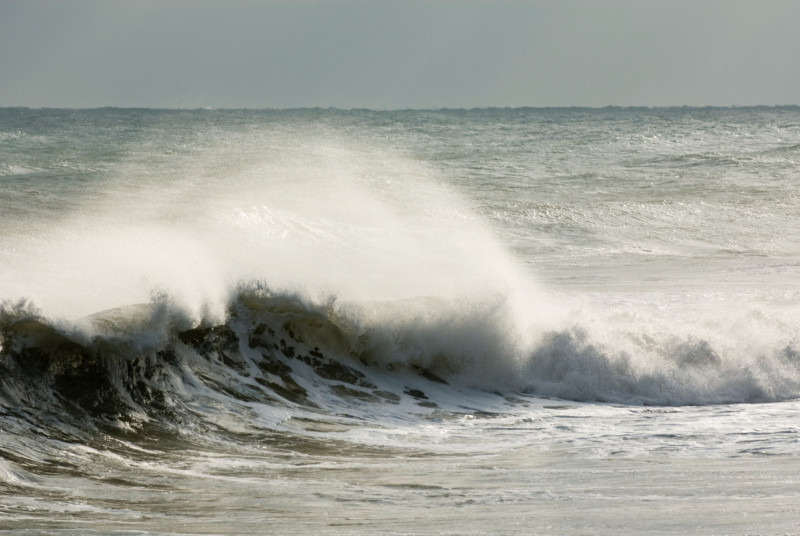 Grande vague