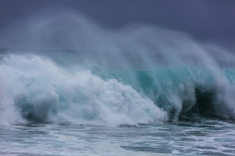 Forte vague