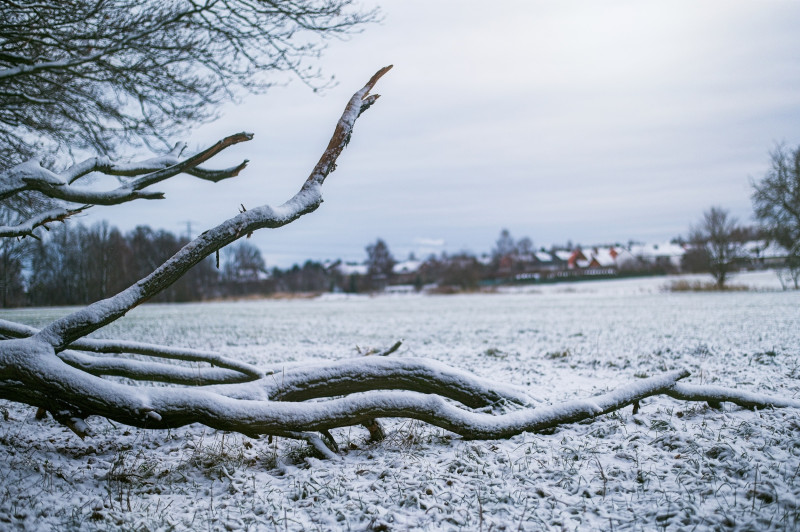 Neige en plaine