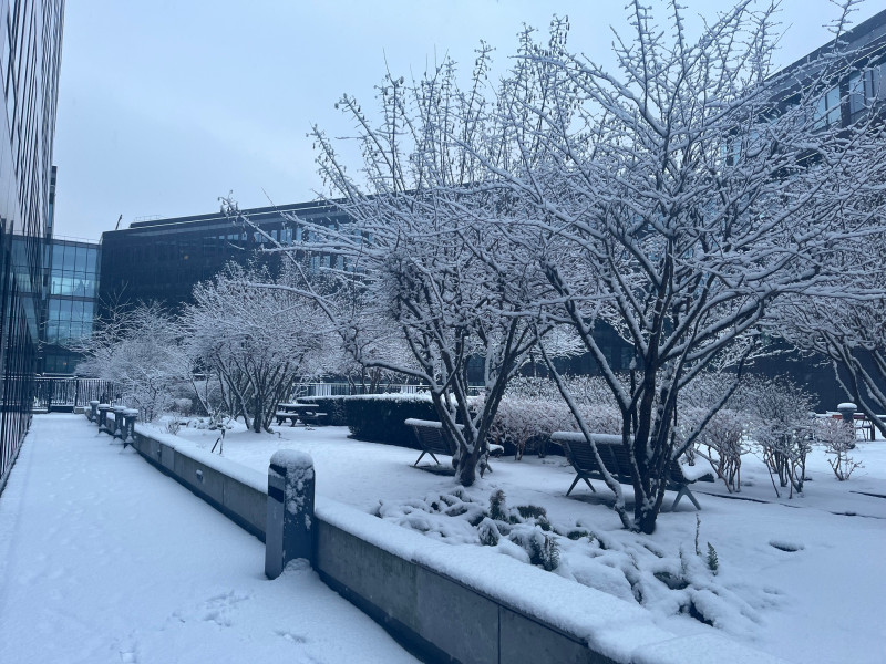 Neige Gennevillier