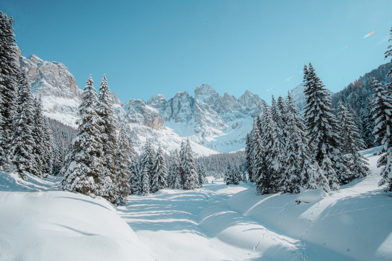 Montagne enneigée avec sapin