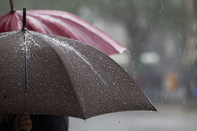 Vue de la pluie sur des parapluies