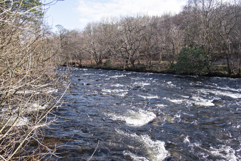 Rivière en crue