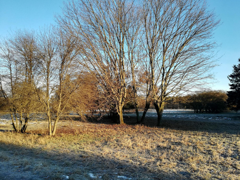 Campagne en hiver