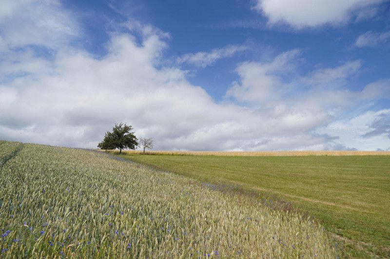 Campagne ensoleillée