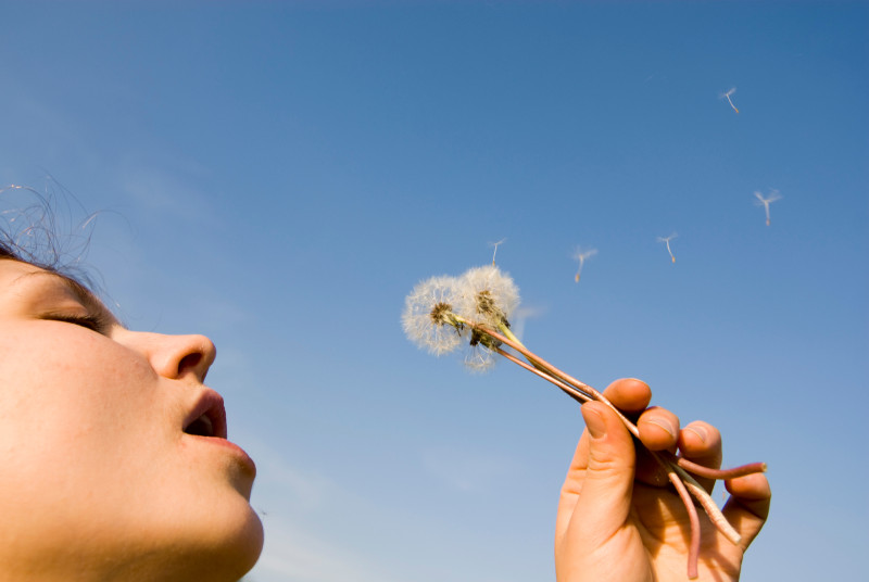 Une femme souffle sur une fleur
