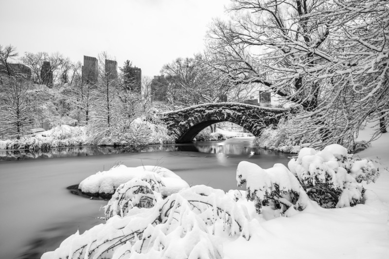 Central Parc couvert de neige
