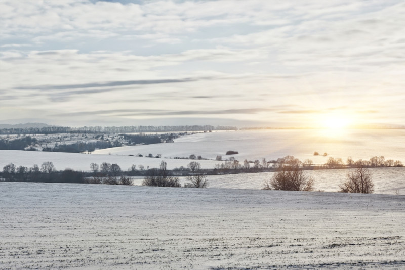 Neige en plaine