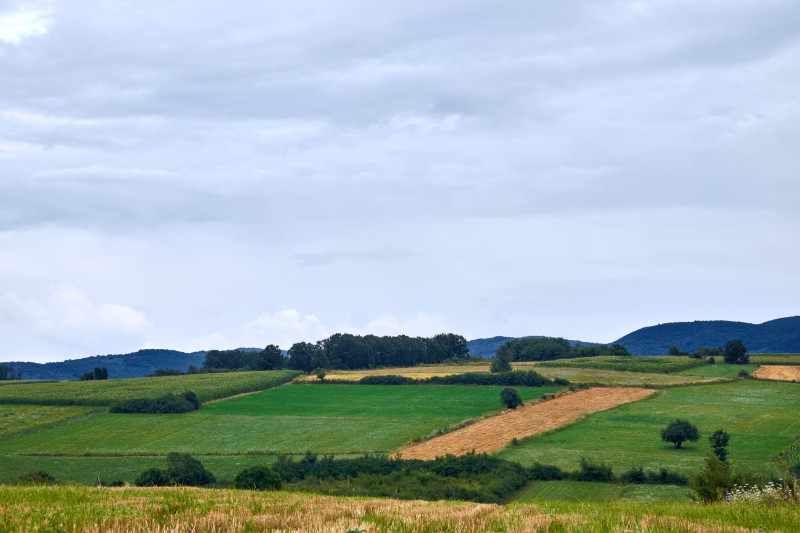 Plaine