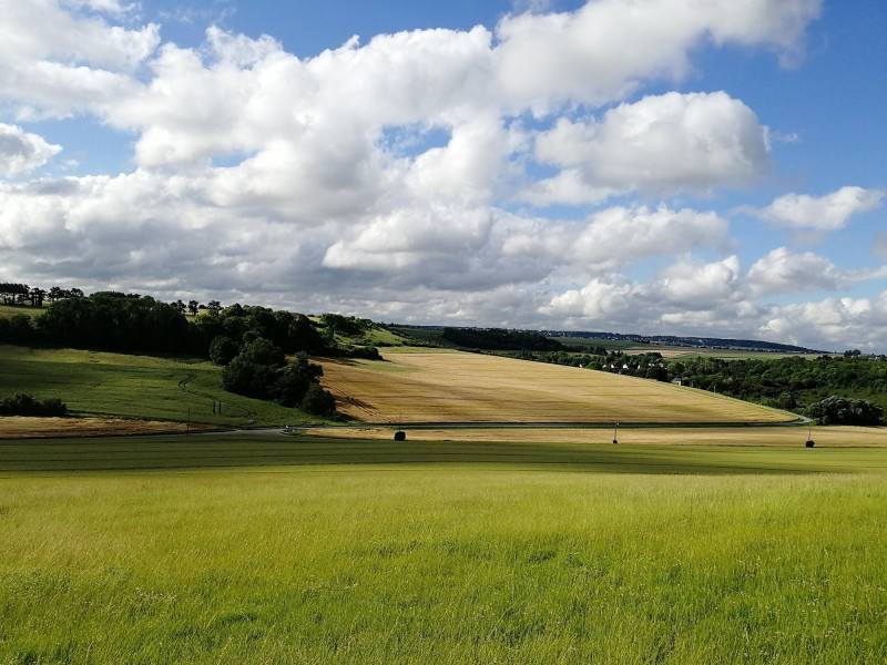 Plaine