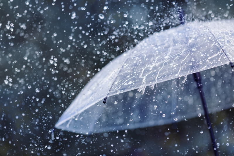 De la pluie tombe sur un parapluie