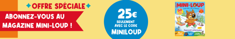 Bannière Mini-loup