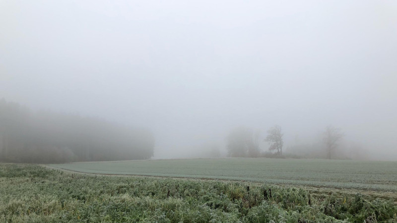 Campagne sous le brouillard