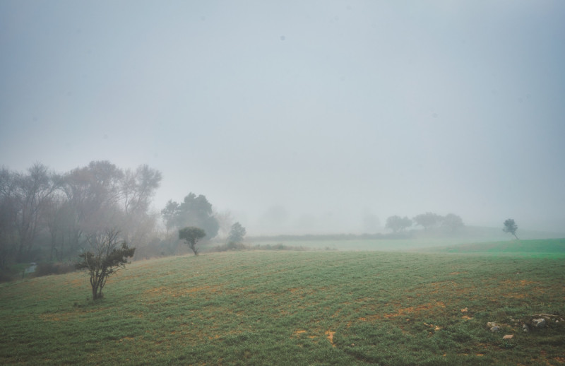 Campagne avec brouillard