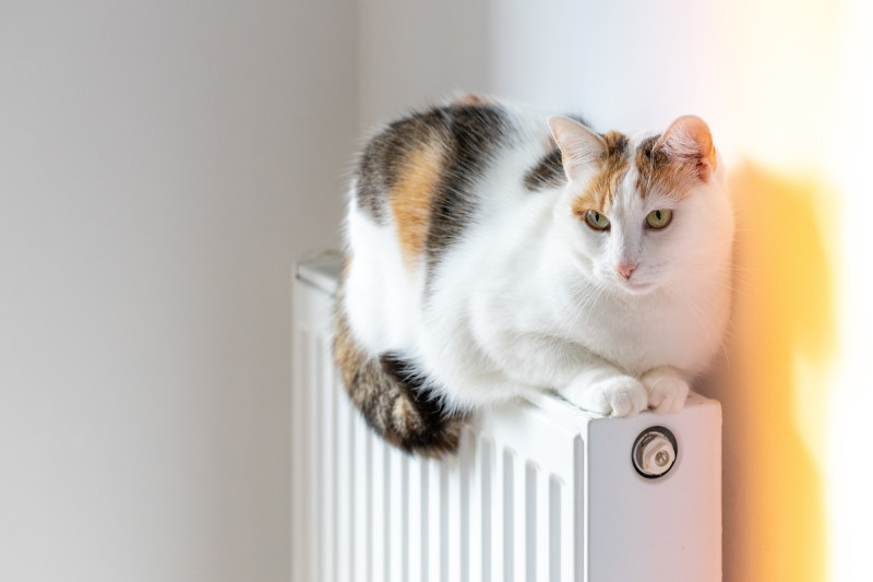 Un chat couché sur un chauffage