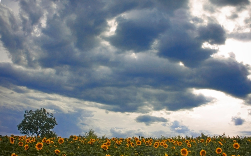 https://www.meteocity.com/france/bourgogne-franche-comte-r11071619