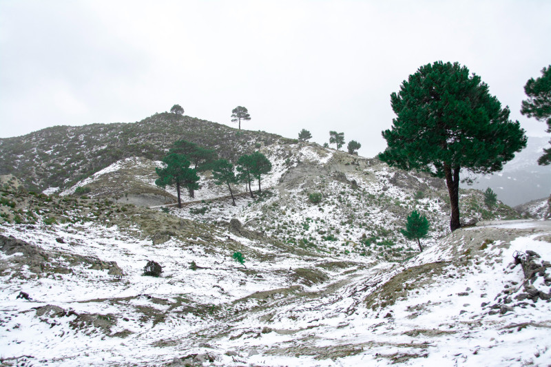 Neige en plaine
