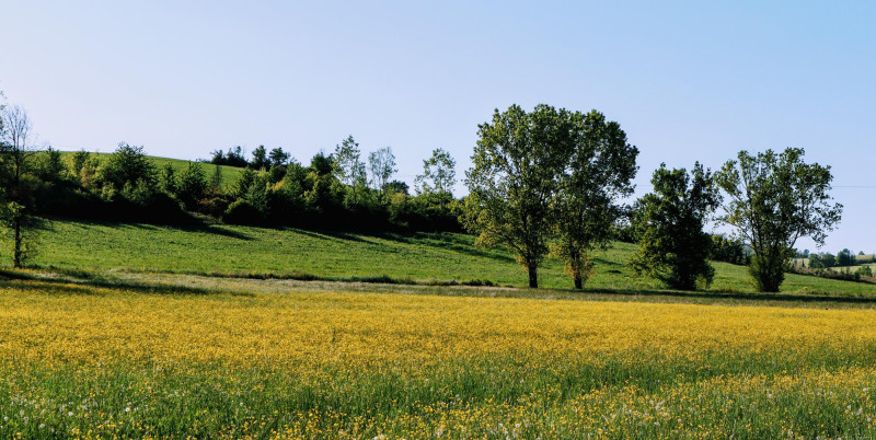 Campagne au soleil