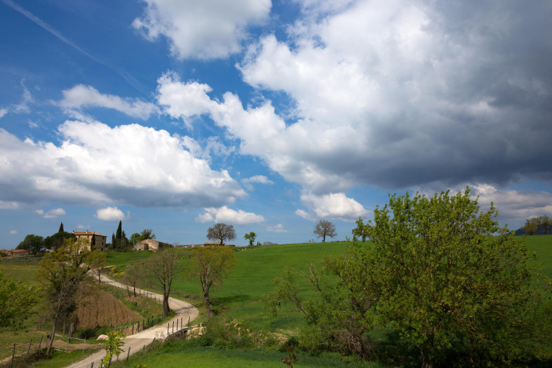 Paysage