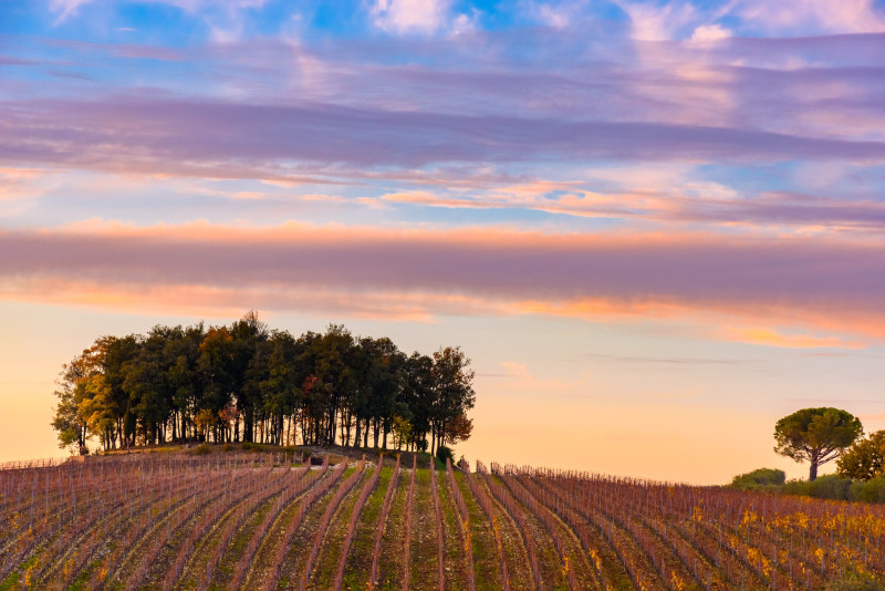 Paysage