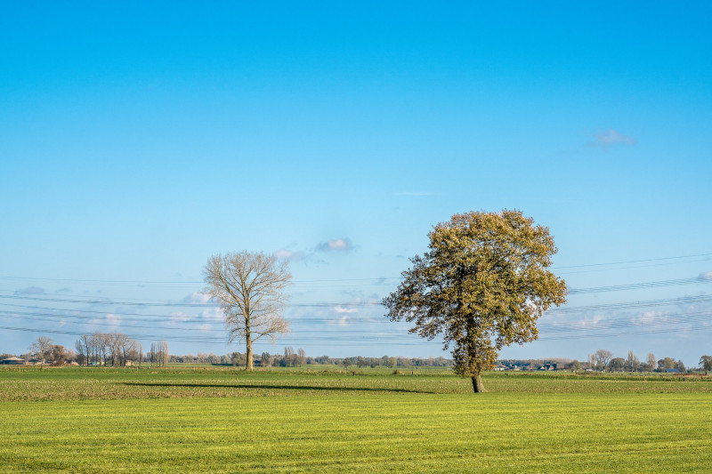 Nette hausse des températures à venir en Bourgogne-France-Comté