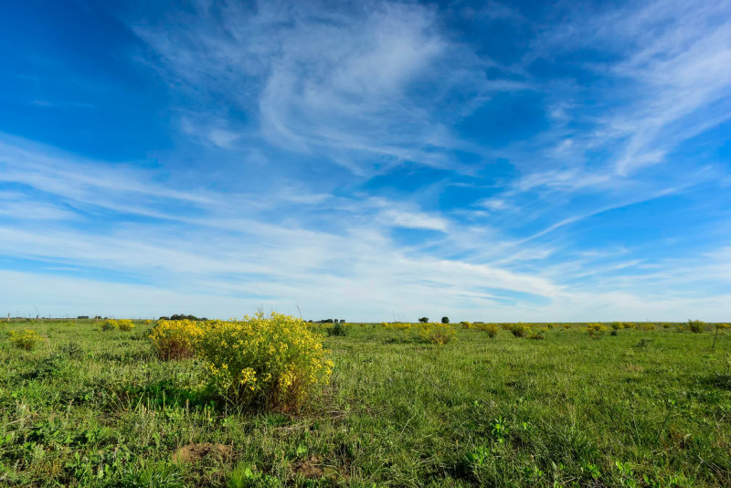 Nos prévisions à 10 jours en Centre-Val de Loire