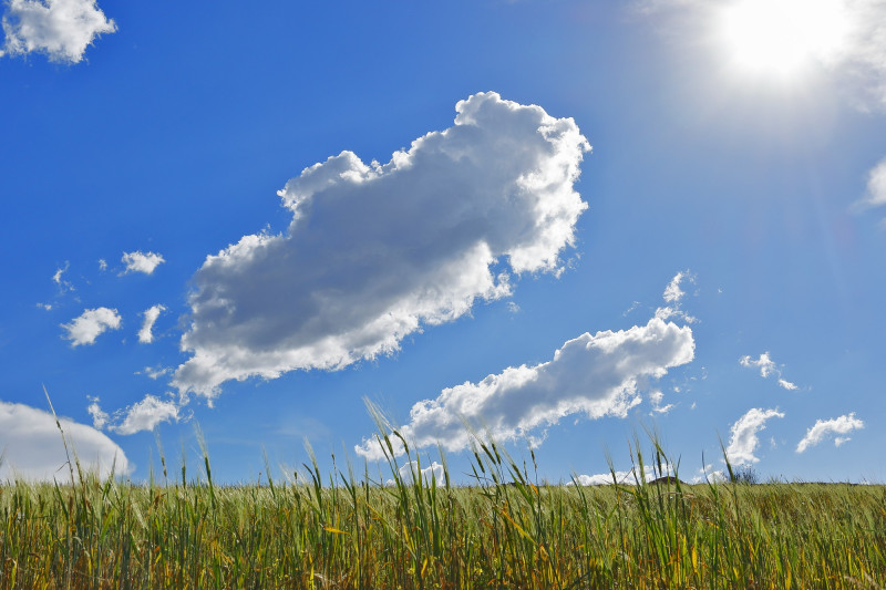 Plaine avec nuages