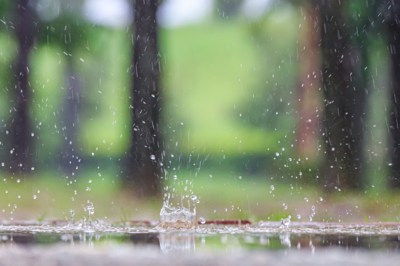 De la pluie tombe dans une flaque
