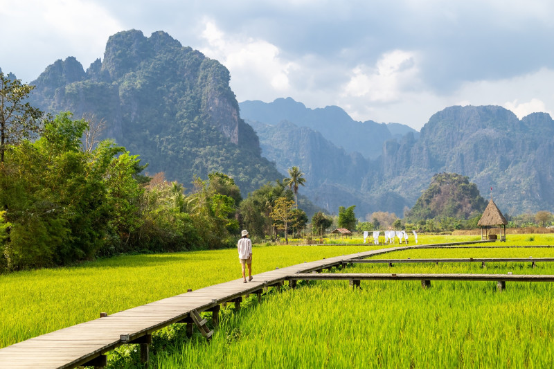 Rizière au Laos