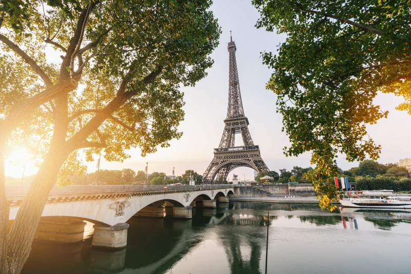 Tour Eiffel entre ses arbres