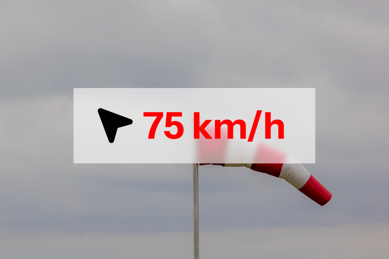 Manche à air